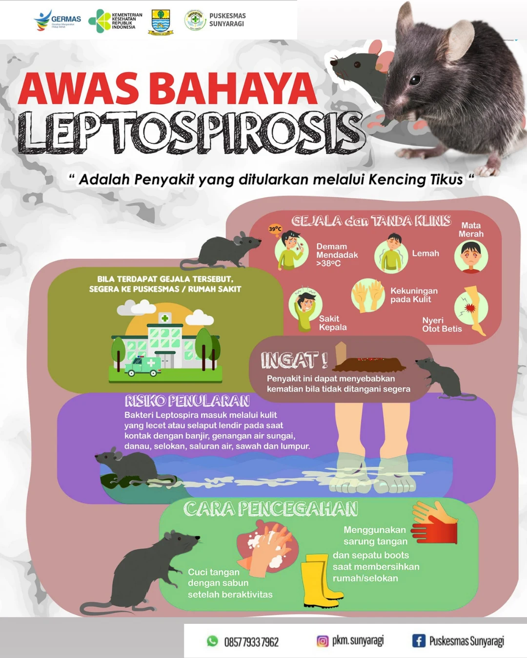 Waspada Leptospirosis