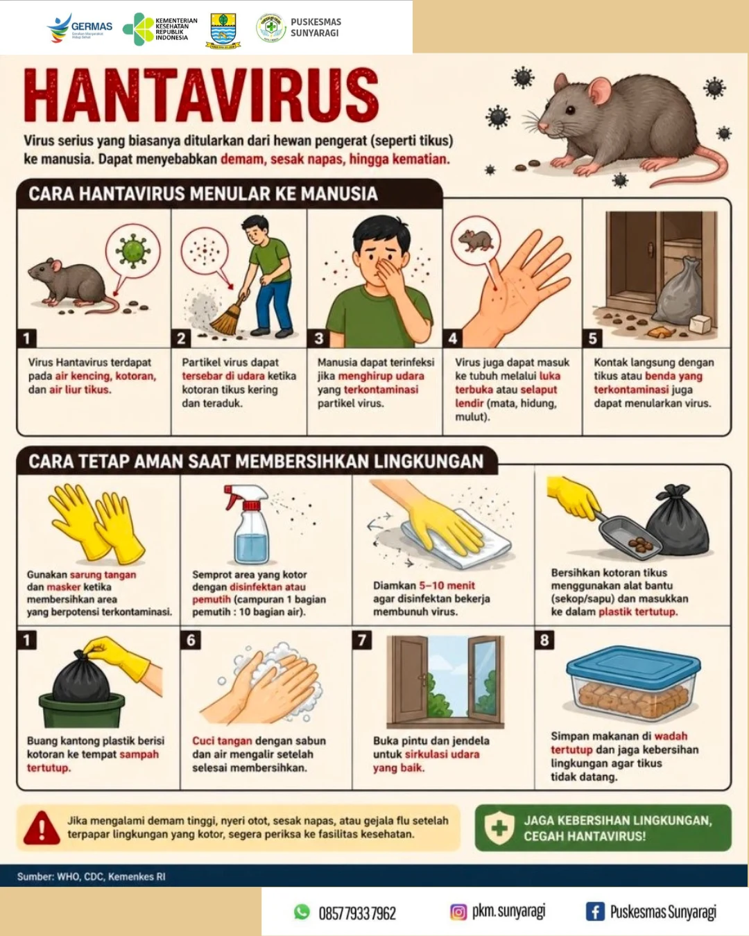 Waspada Hantavirus